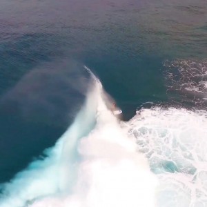 outside reef SUP Tahiti