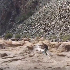 Team badfish 2016 highlights