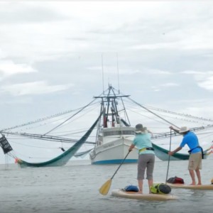 Bic earth series SUP World