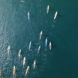 sydney SUP Festival World