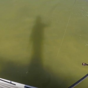 Salt Strong SUP fishing