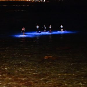 Mojosurf LED Night Paddle SUP World