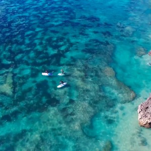 indo Surfboard Warehouse SUP World