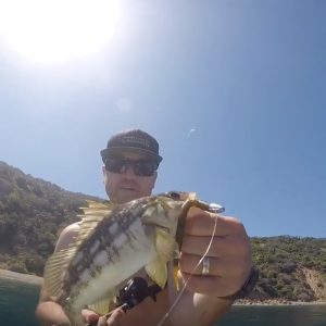 SUP fishing Catalina Island SUP world