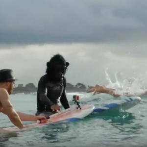 White Plains Beach, Halloween 2017