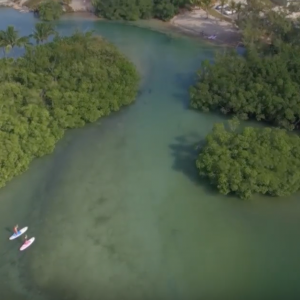 3 Techniques All Stand Up Paddlers Should Know