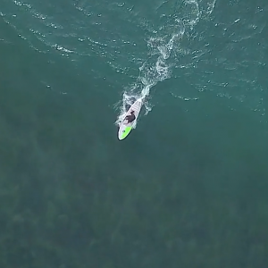 Surfing on the Wide Aquatic Series