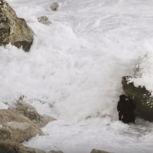 Nazare Moments #4 - HUGE WAVES smash big wave champion Ross-Clarke Jones into rocks