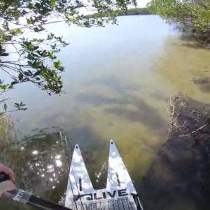 The "Hidden Lake" Fishing Trip [Exploration SUP Fishing]