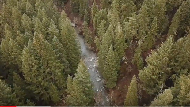 Hala Daze Episode 1: Butte Falls