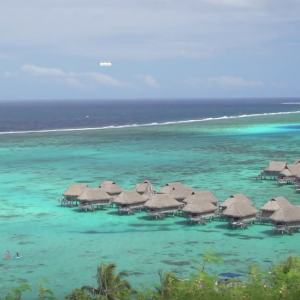 Paddling with Sharks in Tropical Mo'orea Tahiti