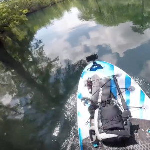 My First Time on a INFLATABLE SUP - Morrison Spring Florida