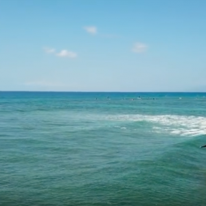 KAI LENNY - Foil Surfing into Summer