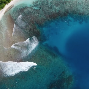 Maldives sup surf trip 2018