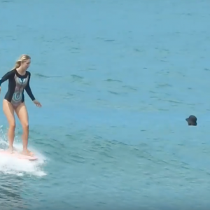 Haleiwa, Hawaii | Longboard Surfing | October 2018