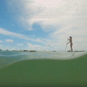 VOLTSURF is a factory direct board brand. Our boards are designed by us, ridden by us and sold by us. With VOLTSURF we cut out all the middlemen and give you quality boards at factory direct pricing. Our focus is making premium SUP and SURF gear shipped directly to your doorstep at wholesale prices. It makes us feel good about what we do when we can share the excitement and savings. We also pride ourselves in making a board for every type of rider and condition to make sure you can get the perfect board for you. Our favorite part of our business is getting to know our customers. We encourage you to share with us your photos and stories. Part of how we keep costs down and pass the savings onto our customers is by marketing with customer generated content. We don’t believe in hiring expensive models and producing exotic photoshoots. Send us your pics or join us for a paddle session and let’s make & share our High Five Life. BUY YOUR BOARD: https://voltsurf.com/inflatables/