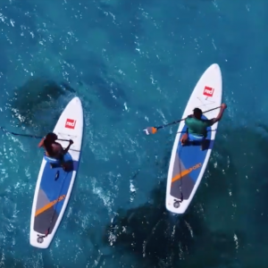 Red Paddle Co Whip / Wild / Specialist SUP