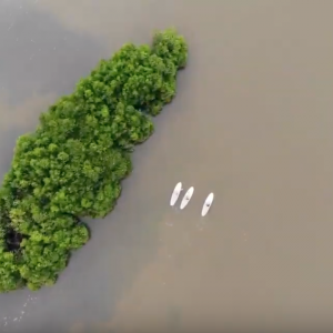 Stand Up Paddling Sri Lanka
