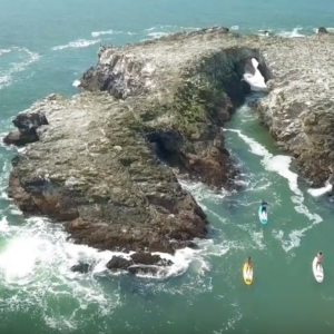 2018 HIGHLIGHTS GONG