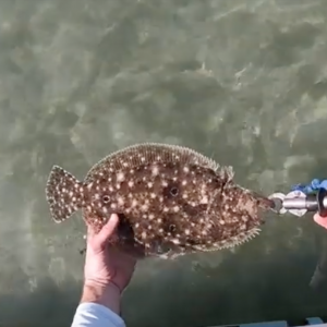 Unbelievable Key Biscayne Fishing Trip [Exploring New Area via SUP]