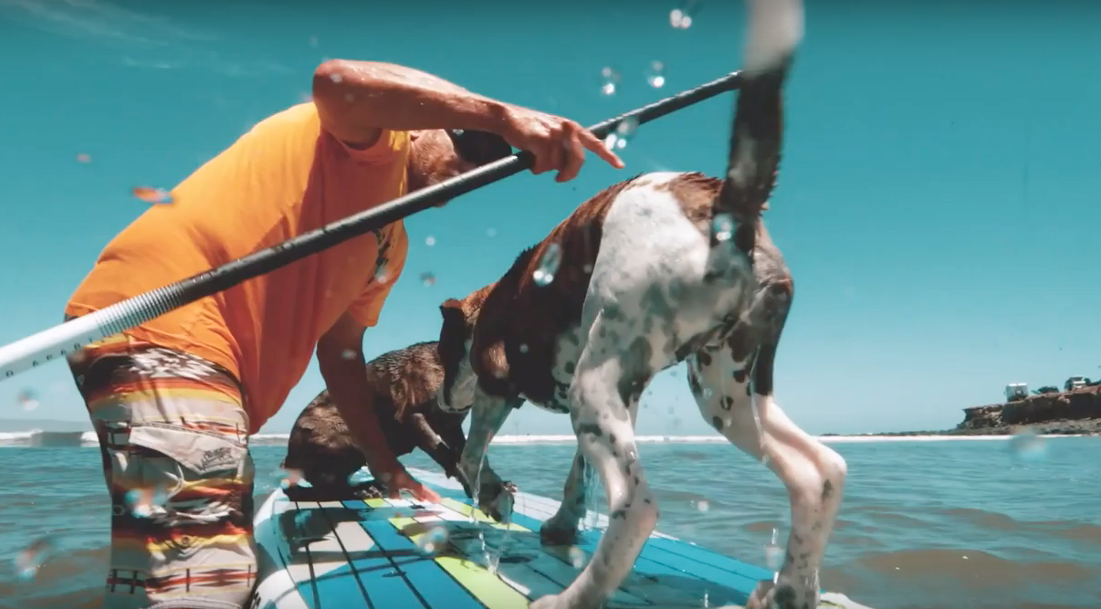 Bote Presents San Somewhere Sup World Mag