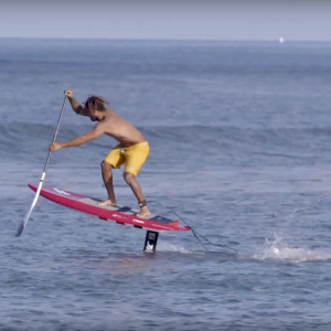 Fanatic SUP Paddle Collection 2020