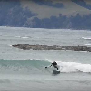 PPC Chaser Revolution