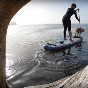 Sprout Surf SUP Dog Paddleboarding