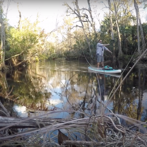 WEKIVA SPRINGS SUP ADVENTURE