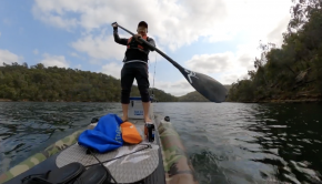 SUP fishing Tailor on soft plastic
