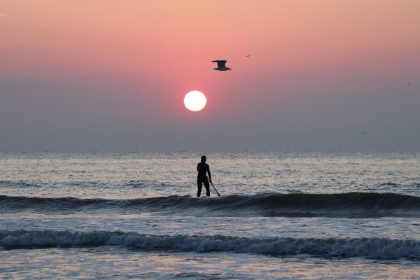 Sarah de Jaegher paddling at sunset off the Belgian coast.