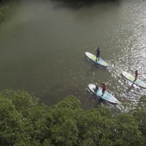 2017 BIC SUP Paddle Range