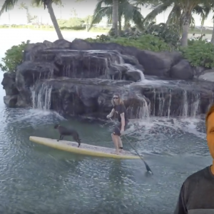 Blue Planet 11’6" x 31.5" Polynesian Touring SUP Model