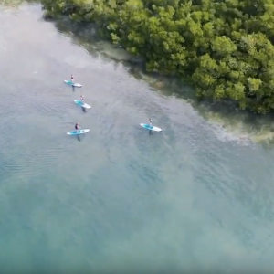 Stand up paddle Guadeloupe - Tom Paddle Evasion