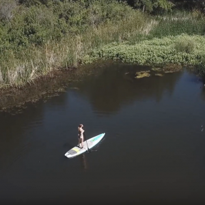 Body Glove Performer 11 Review