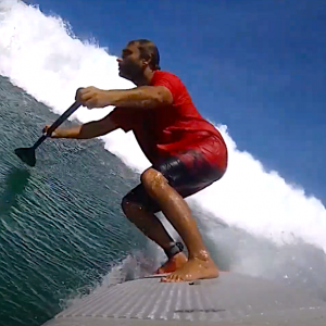shorlines waterlife surfing waves in martinique