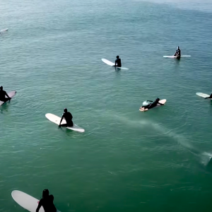 whale swims beneath surfers in california bay