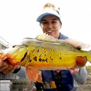 Follow Brie from BA Fishing on an epic SUP fishing session in Florida, this time, they are on the look out for the amazing Peacock Bass! Check it out! ﻿