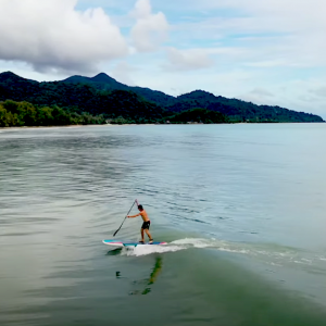 Check the Starboard 4 in 1, one of the most versatile boards on the market. It can be used as an SUP, wing board, wind surf and surf sup. This guide helps you get your head round how it it works!Check the Starboard 4 in 1, one of the most versatile boards on the market. It can be used as an SUP, wing board, wind surf and surf sup. This guide helps you get your head round how it it works!