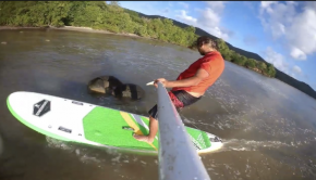 Follow Shorlines Waterlife on a micro wave sup surf session in Martinique!
