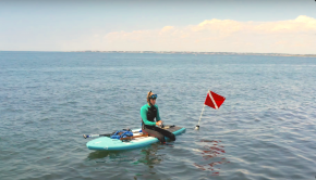 Follow SIC Maui as they showcase the Mangrove Adventure Paddleboard
