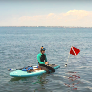 Follow SIC Maui as they showcase the Mangrove Adventure Paddleboard